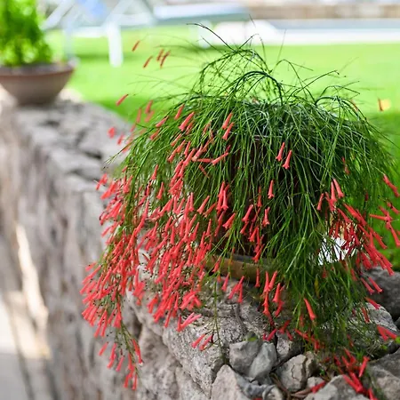 Hresc I Bed and Breakfast Ζαντάρ