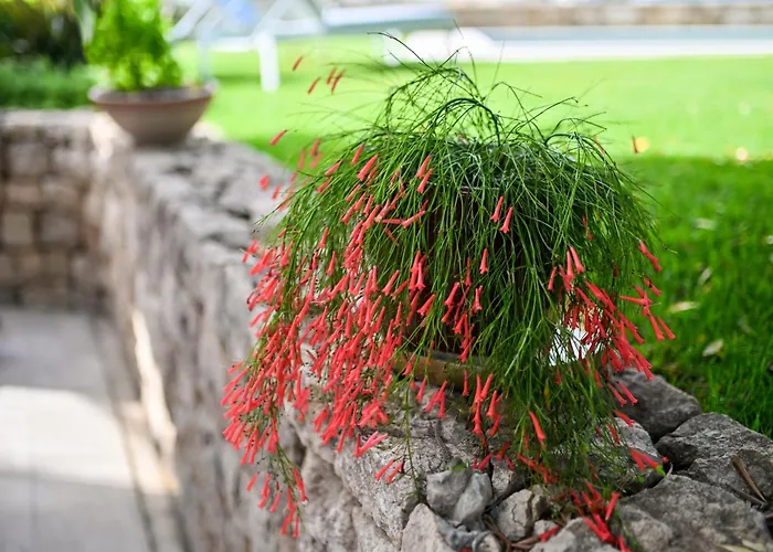 Hresc I Bed & Breakfast Zadar